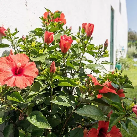 Lovelystay - Private With Pool And Garden Villa